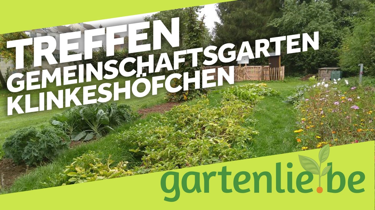 Holzasche Im Garten Verwenden Gartenlie Be