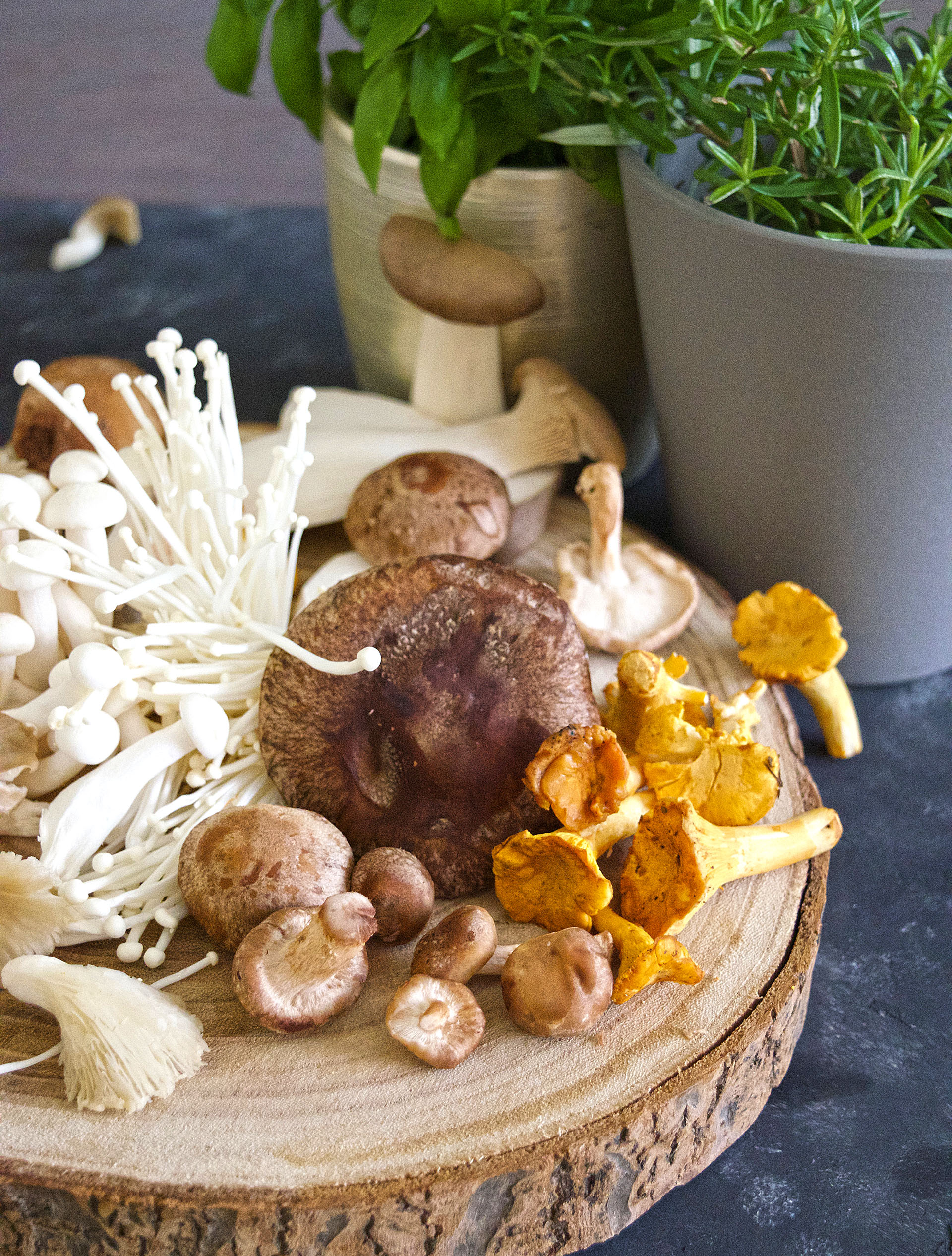 Holzasche Im Garten Verwenden Gartenlie Be